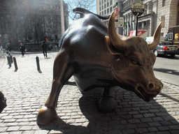 Charging Bull sculpture at Bowling Green park