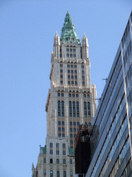 Top of the Woolworth Building