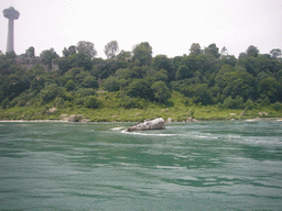 The Skylon Tower and birds on a rock in the Niagara River, from the Maid of the Mist boat