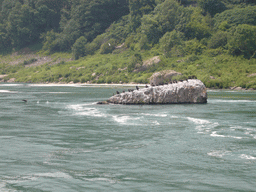 Birds on a rock in the Niagara River, from the Maid of the Mist boat