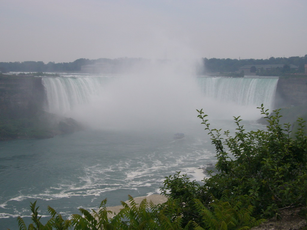 The Horseshoe Falls