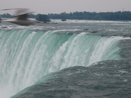 The Horseshoe Falls