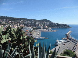 Cactuses and the Harbour of Nice, viewed from the Parc du Château