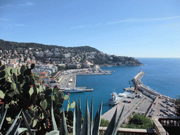 Cactuses and the Harbour of Nice, viewed from the Parc du Château