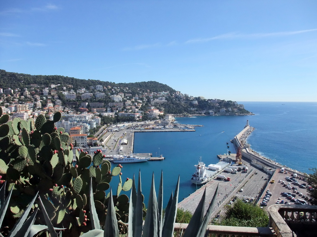 Cactuses and the Harbour of Nice, viewed from the Parc du Château