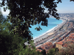 Trees, the Promenade des Anglais, the Quai des Etats-Unis and the Mediterranean Sea, viewed from the Parc du Château