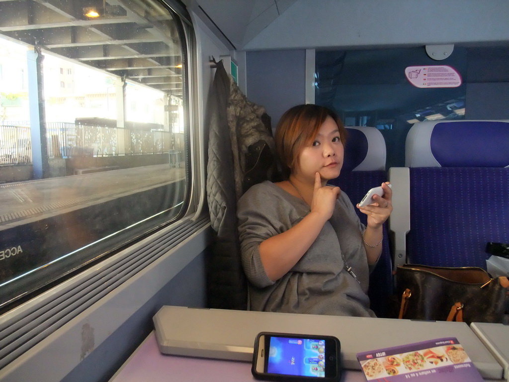 Miaomiao in the TGV train to Grenoble