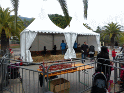 Tent for easter egg hunt at the Parc Phoenix Zoo