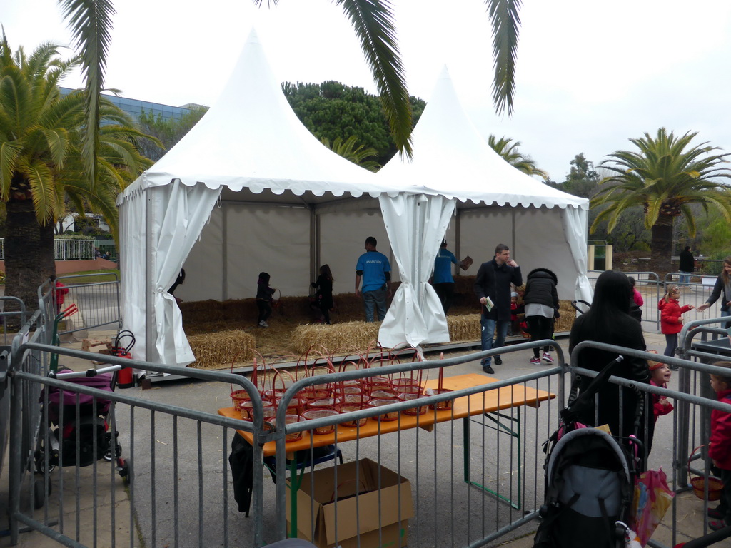 Tent for easter egg hunt at the Parc Phoenix Zoo