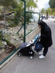 Miaomiao and Max with otters at the Parc Phoenix zoo