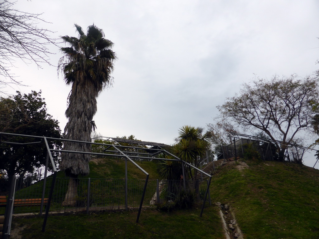 Hill at the Parc Phoenix zoo