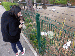 Miaomiao and Max with birds at the Parc Phoenix zoo