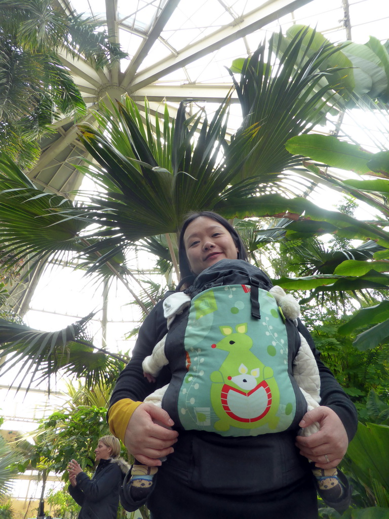 Miaomiao and Max with plants at the Central Area of the `Diamant Vert` Greenhouse at the Parc Phoenix zoo