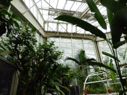 The Orchid Area of the `Diamant Vert` Greenhouse at the Parc Phoenix zoo