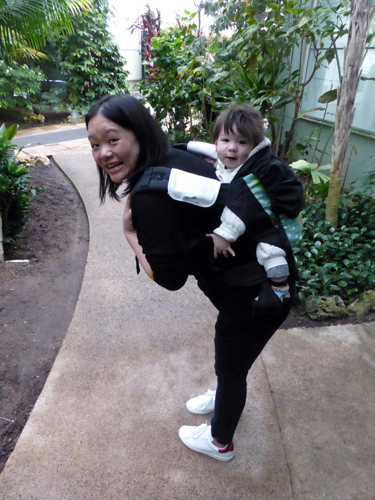 Miaomiao and Max at the Central Area of the `Diamant Vert` Greenhouse at the Parc Phoenix zoo