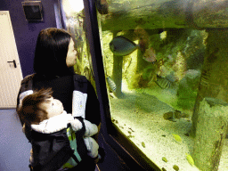Miaomiao and Max with fish at the Aquarium at the `Diamant Vert` Greenhouse at the Parc Phoenix zoo