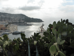 Cactuses at the viewing point at the southeast side of the Parc du Château, with a view on the south side of the Harbour of Nice