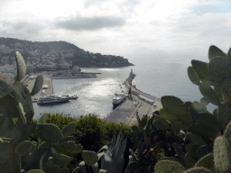 Cactuses at the viewing point at the southeast side of the Parc du Château, with a view on the south side of the Harbour of Nice