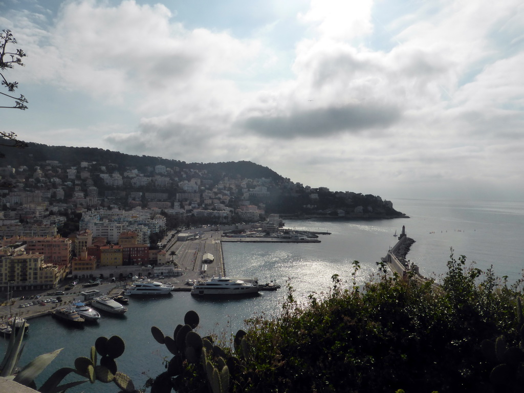 Plants at the viewing point at the southeast side of the Parc du Château, with a view on the south side of the Harbour of Nice