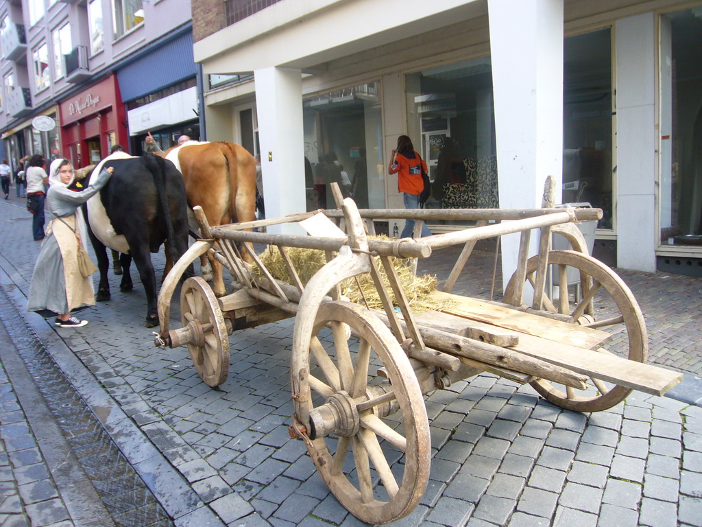 Person in medieval clothes, oxen and carriage at the Houtstraat street, during the Gebroeders van Limburg Festival