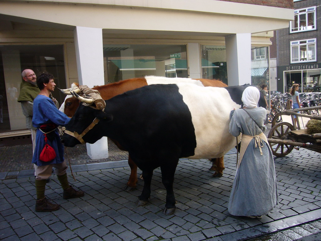 People in medieval clothes, oxen and carriage at the Houtstraat street, during the Gebroeders van Limburg Festival