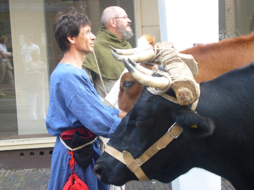 People in medieval clothes and oxen at the Houtstraat street, during the Gebroeders van Limburg Festival