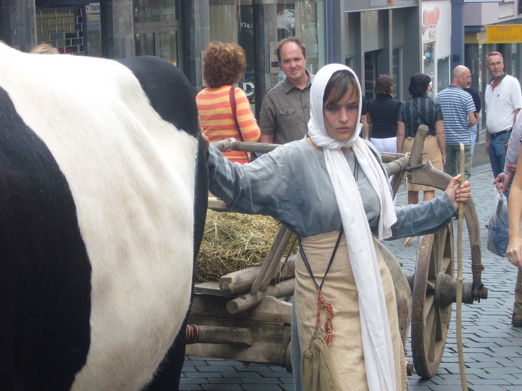 Person in medieval clothes and an ox at the Houtstraat street, during the Gebroeders van Limburg Festival