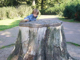 Child climbing on a tree trunk at the Valkhof park