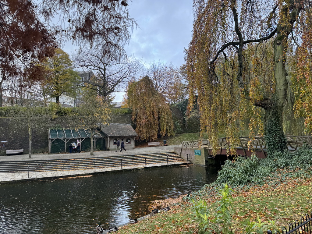 Pond and bridge at the Kronenburgerpark