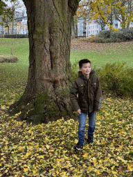 Max in front of a Ginkgo Biloba tree at the Kronenburgerpark