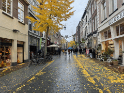 The Lange Hezelstraat street