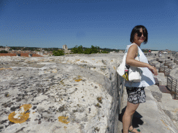 Miaomiao at the top rows of seats of the Arena of Nîmes, with a view on the north side of the city with the Nîmes Cathedral