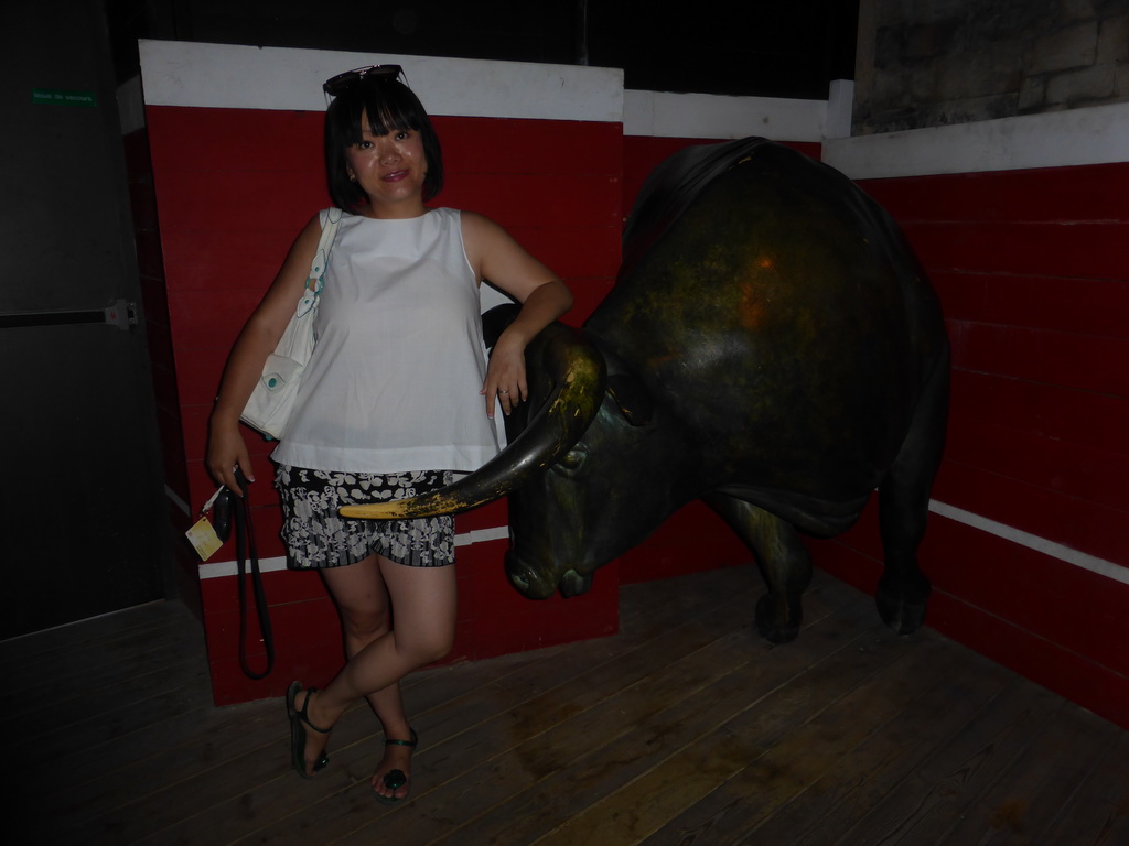 Miaomiao with a statue of a bull in the Bullfighter Room at the ground floor of the Arena of Nîmes