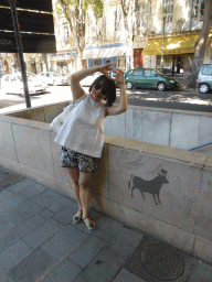 Miaomiao and a drawing of a bull and a heart at the Boulevard Alphonse Daudet