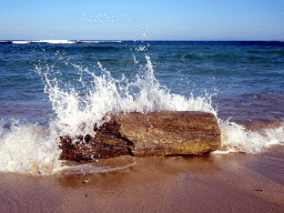 Tree trunk on the beach of the Inaya Putri Bali hotel