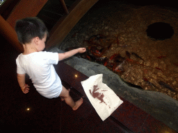 Max feeding the fish in a pond at the Matsuri restaurant at the Bali Collection shopping mall