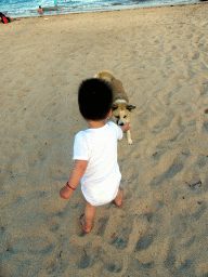 Max with a dog at the beach of the Inaya Putri Bali hotel