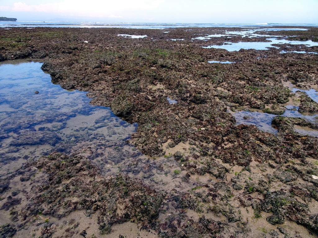 The beach of the Inaya Putri Bali hotel, during low tide