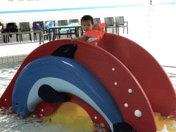 Max at the swimming pool at the Roompot De Katjeskelder holiday park