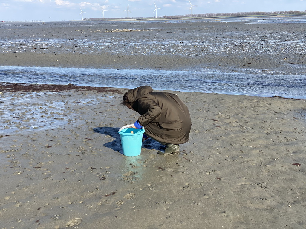 Miaomiao looking for seashells at the Viane Beach