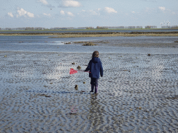 Max looking for seashells at the Viane Beach