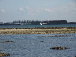 Boats at the National Park Oosterschelde, viewed from the Viane Beach