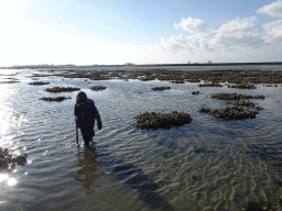 Max looking for seashells at the Viane Beach