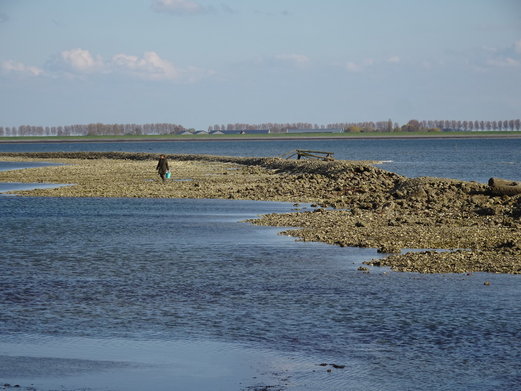 Miaomiao looking for seashells at the dyke at the Viane Beach