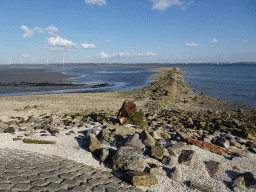 Miaomiao looking for seashells at the dyke at the Viane Beach