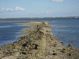 Miaomiao looking for seashells at the dyke at the Viane Beach