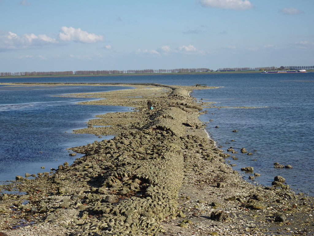 Miaomiao looking for seashells at the dyke at the Viane Beach