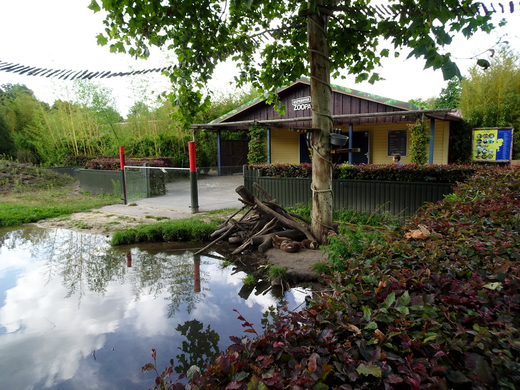 Asian Small-clawed Otters in front of the entrance to ZooParc Overloon