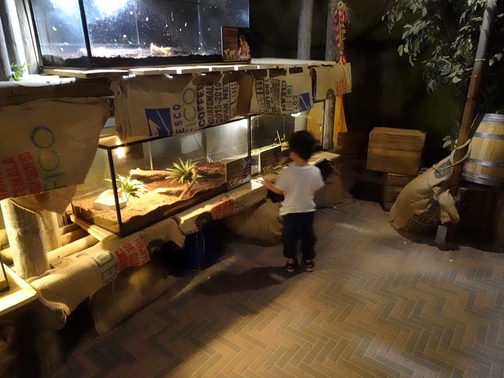 Max at the Reptiles and Insects section at the Headquarter area at ZooParc Overloon