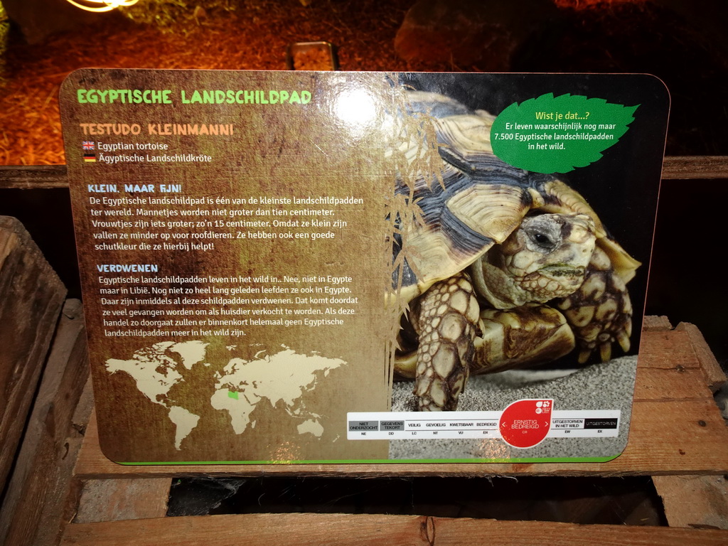 Explanation on the Egyptian Tortoise at the Reptiles and Insects section at the Headquarter area at ZooParc Overloon
